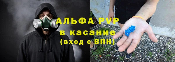 сатива Пересвет