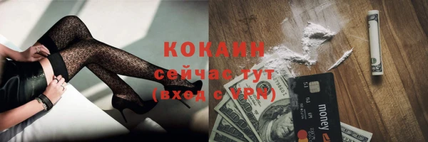 дживик Пестово