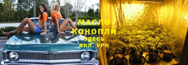 сатива Пересвет