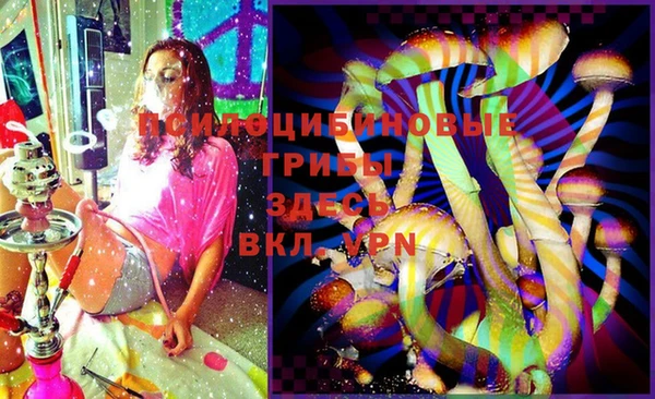 сатива Пересвет