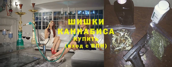 сатива Пересвет