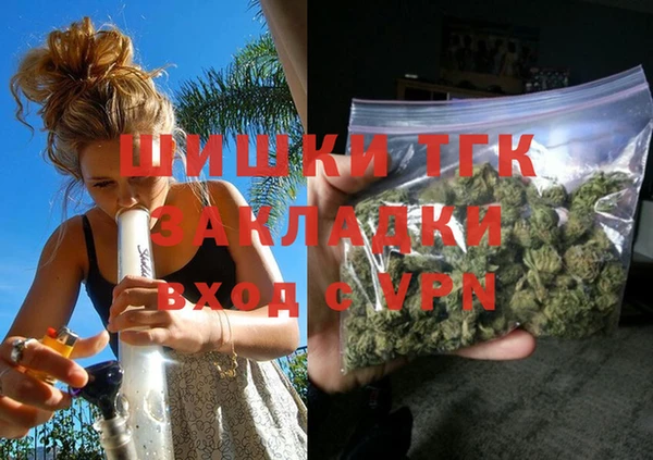 дживик Пестово