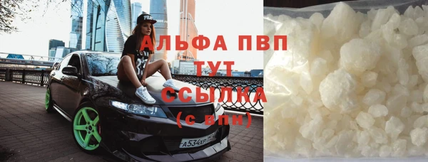 сатива Пересвет